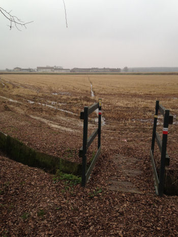 In cammino verso Robbio (54154 bytes)